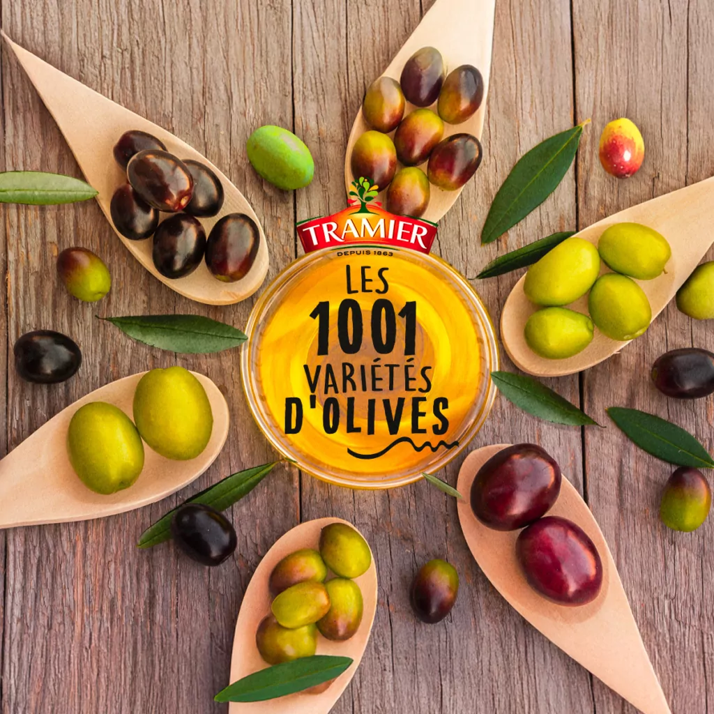 article-mille-et-une-varietes-olives-huile-tramier